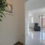 Vukadin * Pula